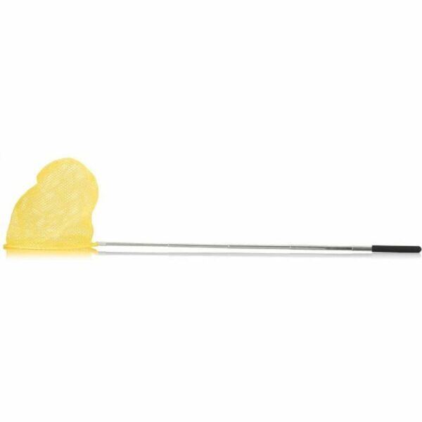 Educational game National Geographic Explorer in Training Yellow Black 5 Pieces - Image 5