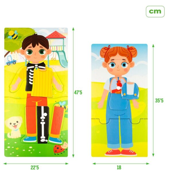 Educational Game Lisciani Baby Doctor 22,5 x 0,5 x 47,5 cm (6 Units) - Image 7