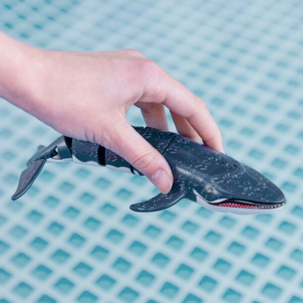 Set Colorbaby Racing Boat Radio control Whale - Image 6