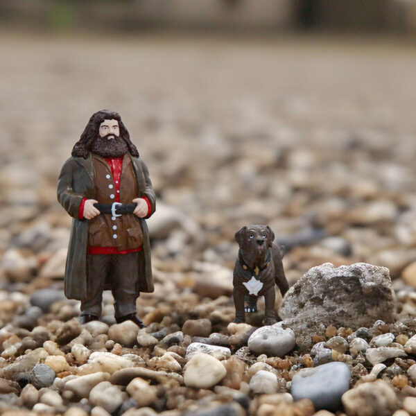Set of Figures Harry Potter Hagrid & Fang - Image 3