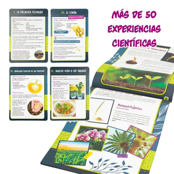 Science Game Lisciani Botánica ES (6 Units) - Image 3